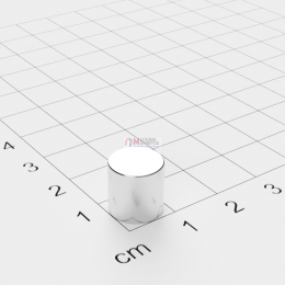 Ø D10 mm х H10 mm - Магнит Шайба-Пруток