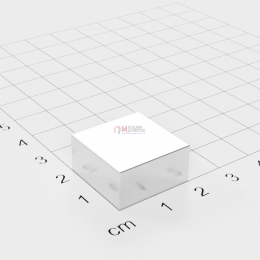 20 x 20 x 10 mm - Квадратный Магнит
