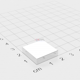20 x 20 x 5 mm - Квадратный Магнит