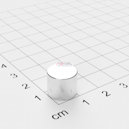 Ø D12 mm х H10 mm - Магнит Шайба
