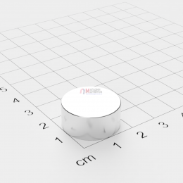 Ø D20 mm х H10 mm - Магнит Шайба