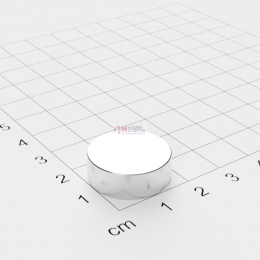 Ø D20 mm х H7 mm - Магнит Шайба