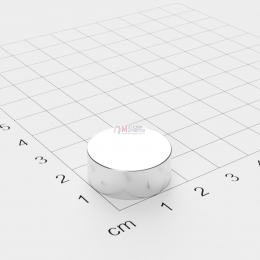 Ø D20 mm х H8 mm - Магнит Шайба