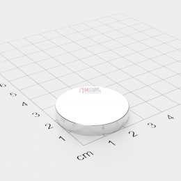 Ø D30 mm х H5 mm - Магнит Шайба